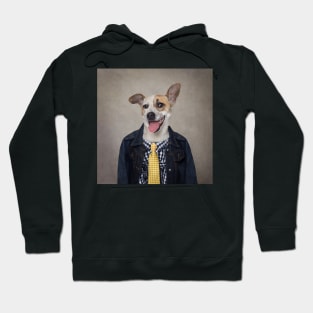 Shelter Pets Project - Alex Hoodie